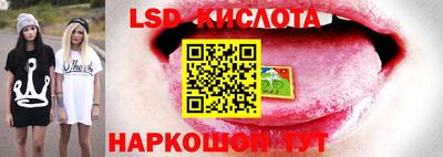 спайс Баксан