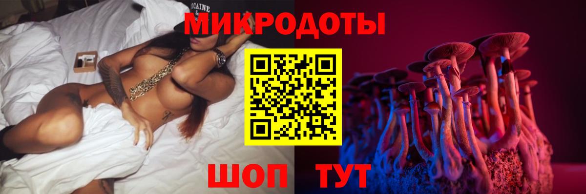 Братск  Галлюциногенные грибы мицелий  Вход с VPN 